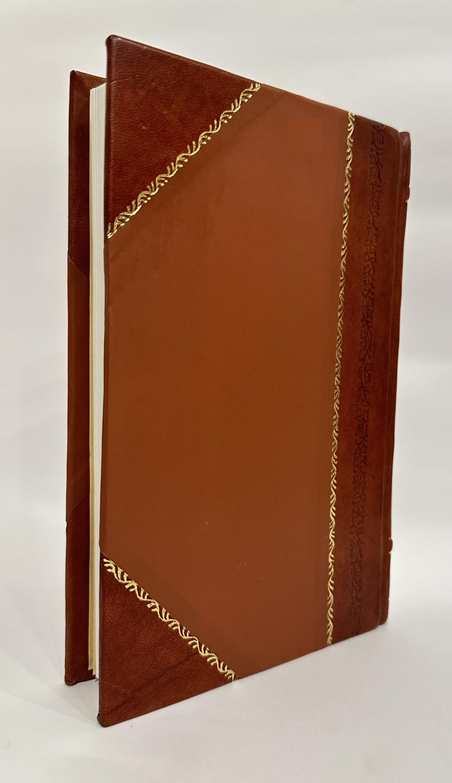 Delicate, Backward, Puny, and Stunted Children: Their Developme [Leather Bound]