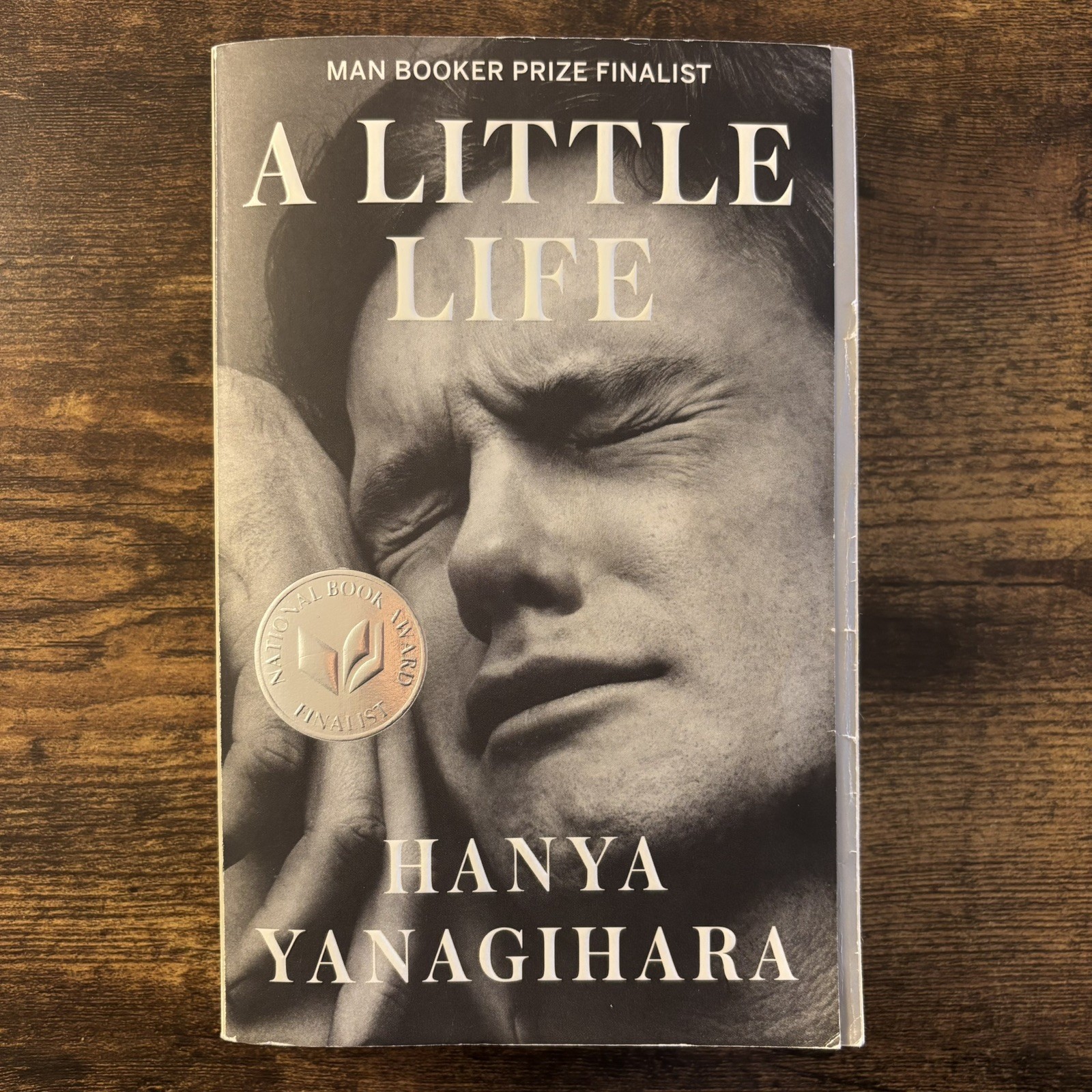 Little Life by Hanya Yanagihara (2016, Trade Paperback)