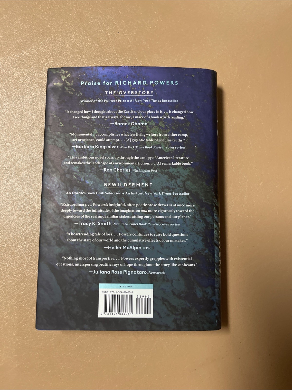 Playground Hardcover Richard Powers