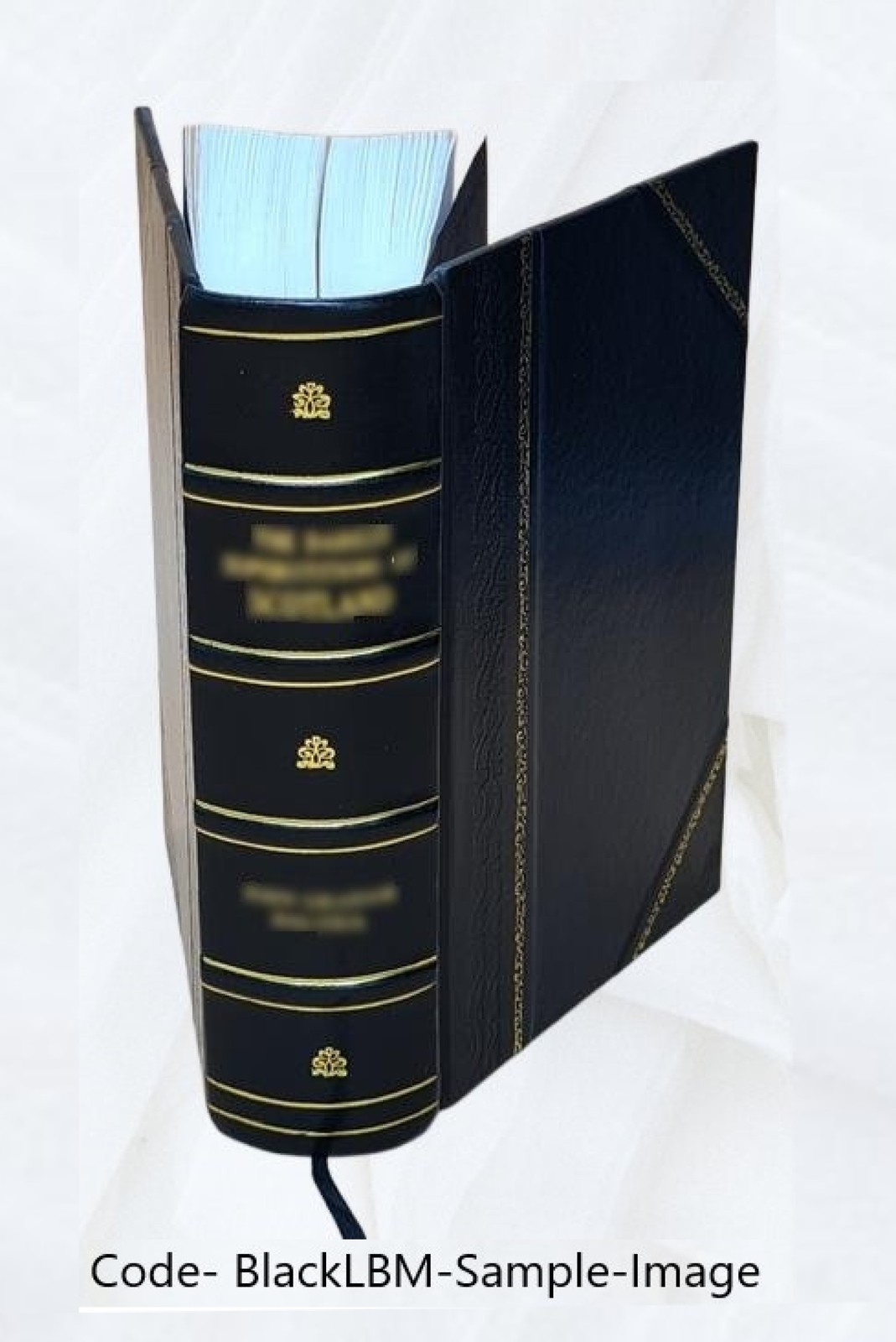 The Apocalypse Expounded By Scripture … (Abridged From The Fou [Leather Bound]