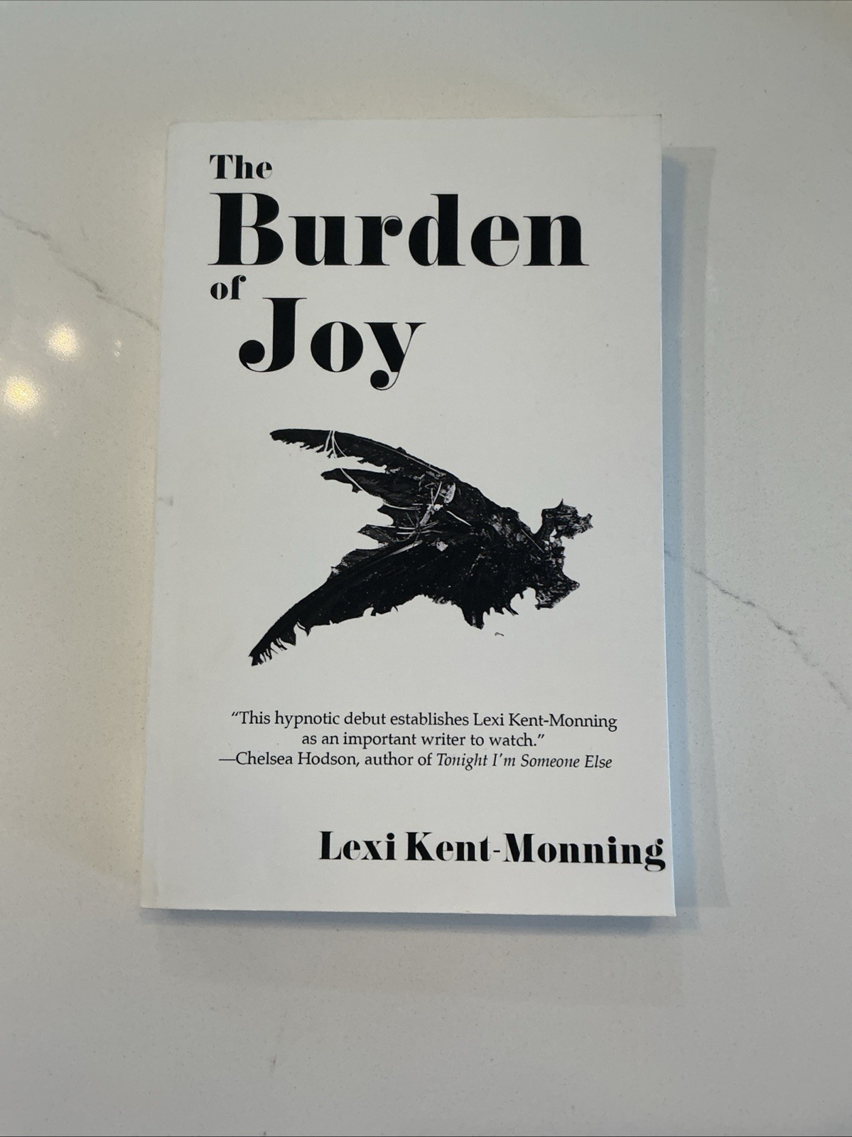 Lexi Kent-Monning The Burden Of Joy (Paperback)