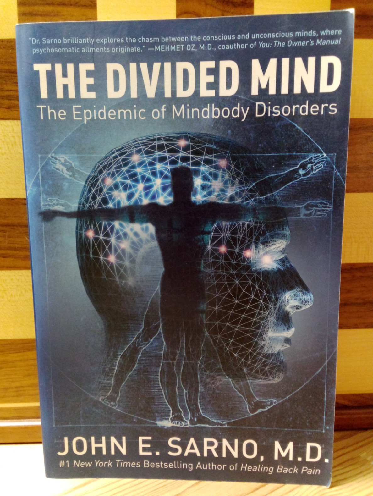 The Divided Mind : The Epidemic of Mindbody Disorders by John E. Sarno Paperback