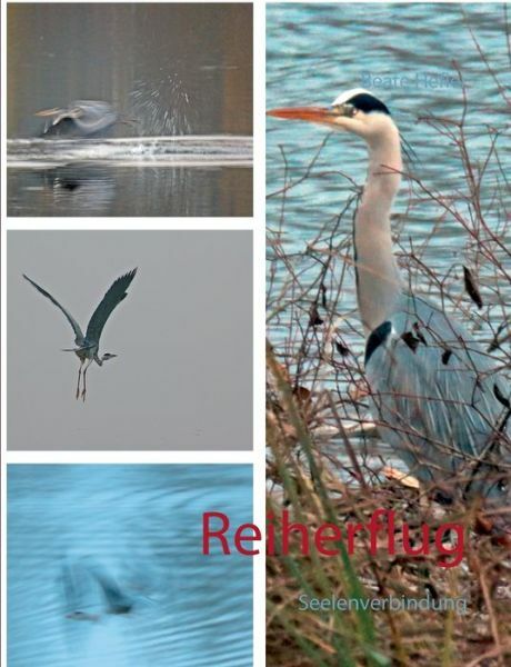 Reiherflug