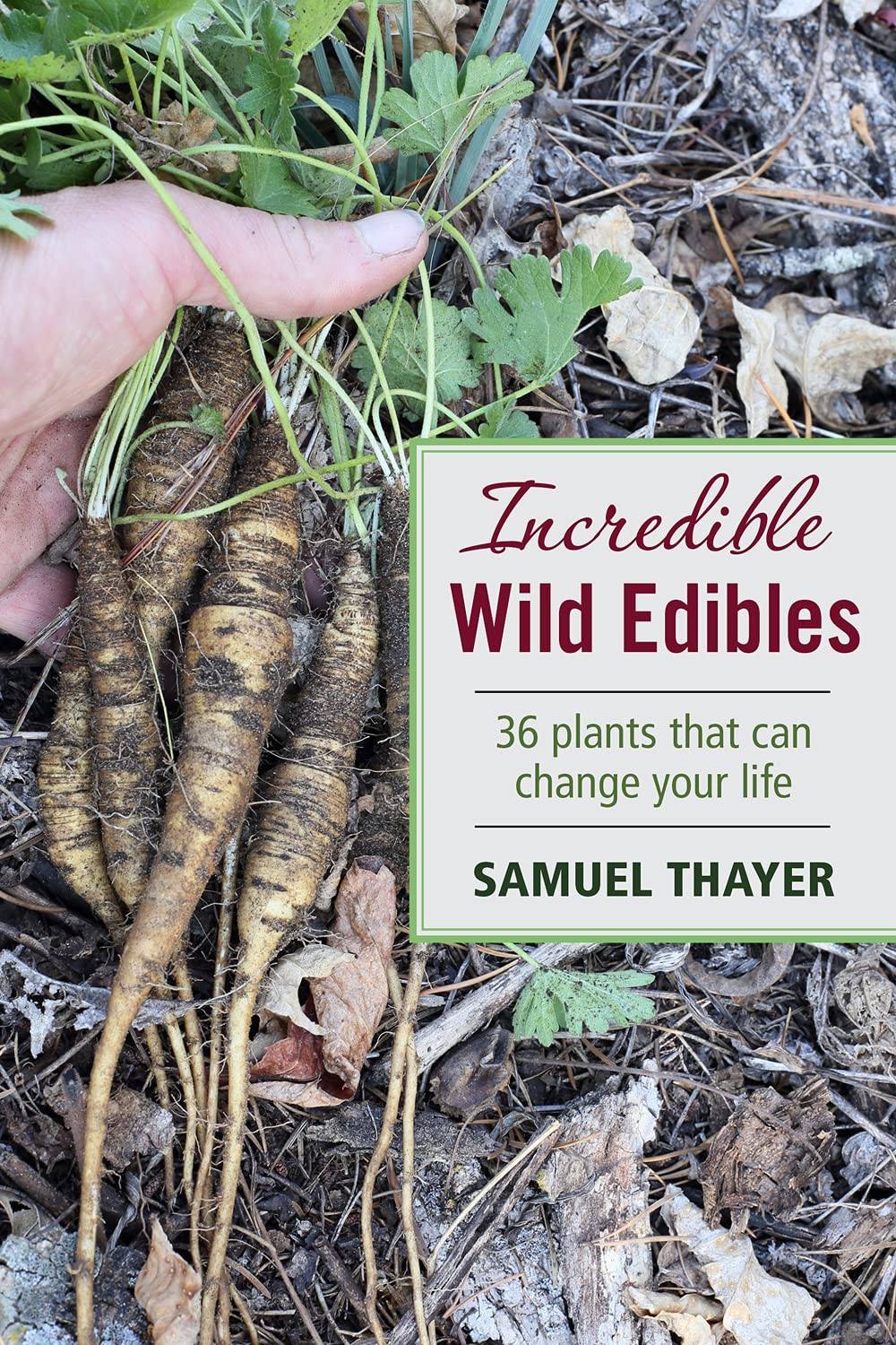 Incredible Wild Edibles Paperback by Samuel Thayer