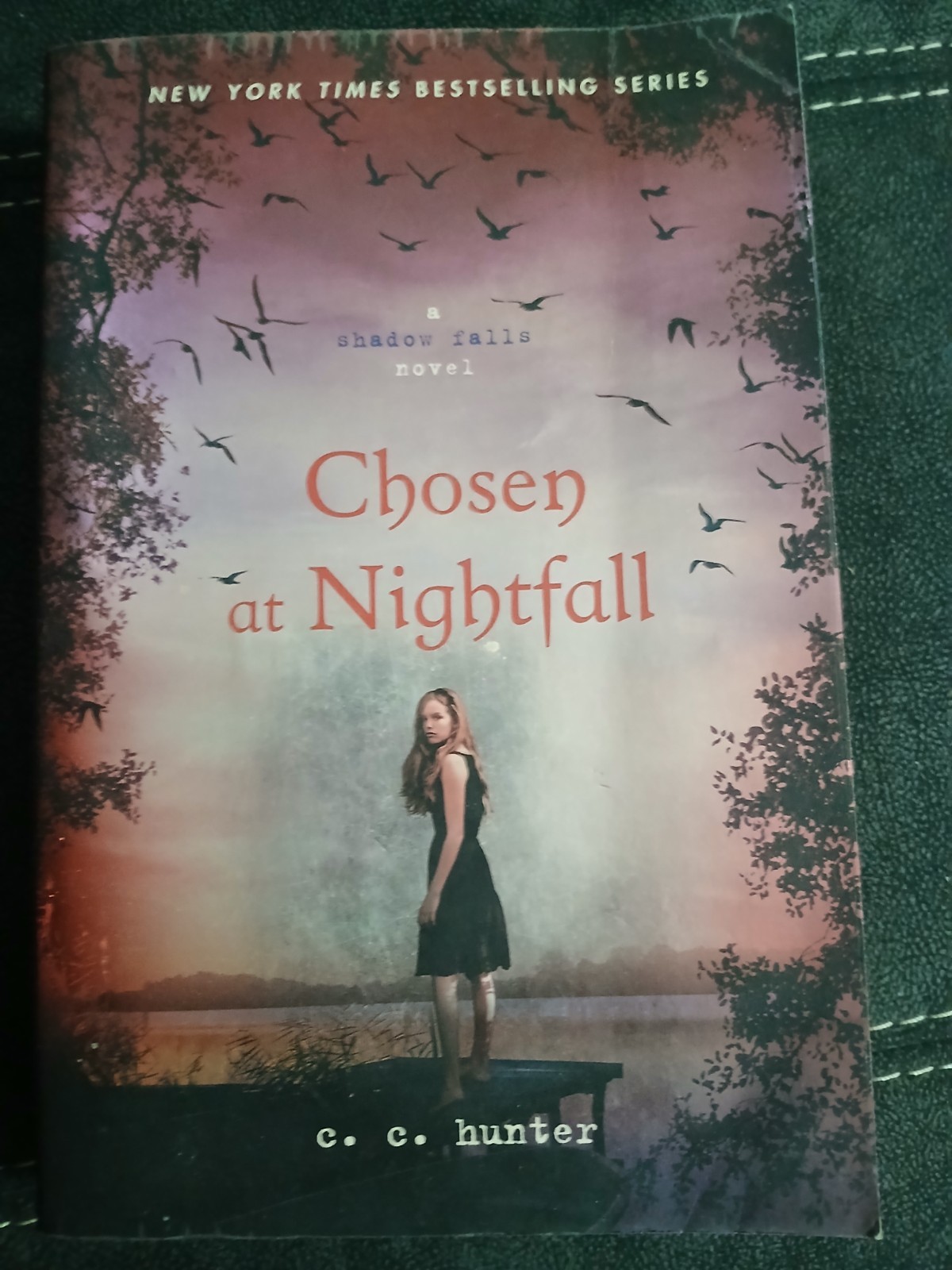 Chosen At Nightfall By C.C Hunter