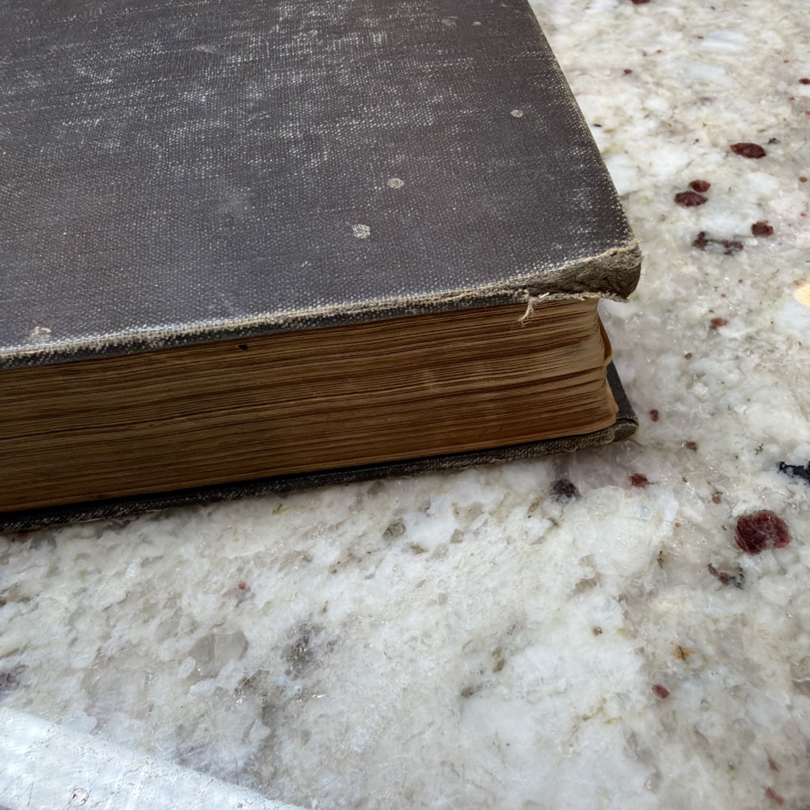 The Ancient World From The Earliest Times to 800 AD by Willis Mason West