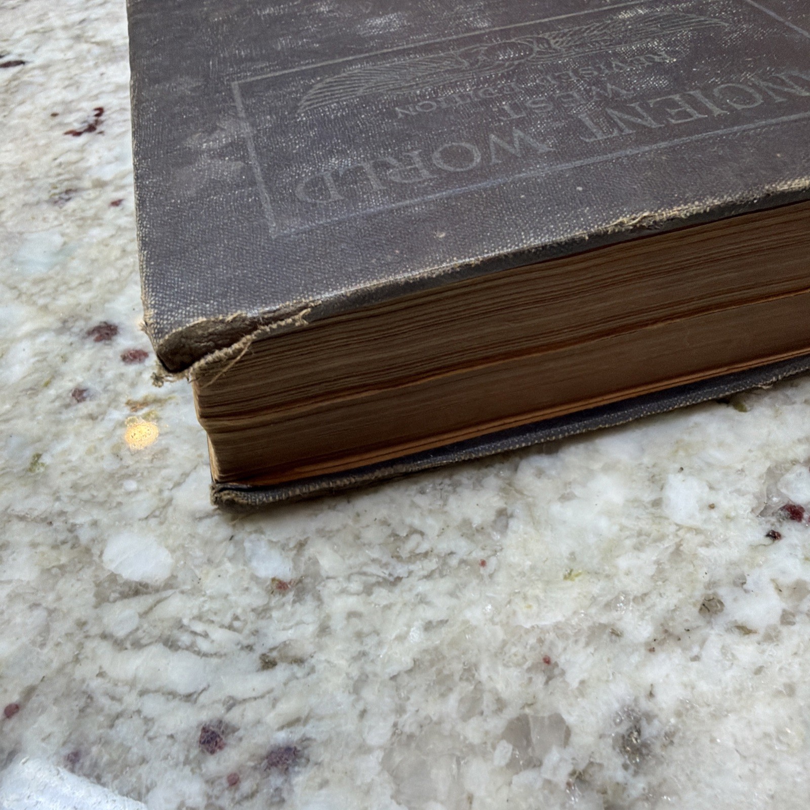 The Ancient World From The Earliest Times to 800 AD by Willis Mason West
