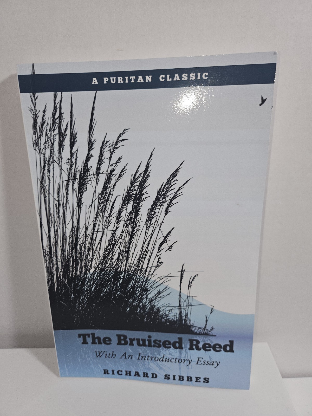 The Bruised Reed: With An Introductory Essay By Richard Subbes