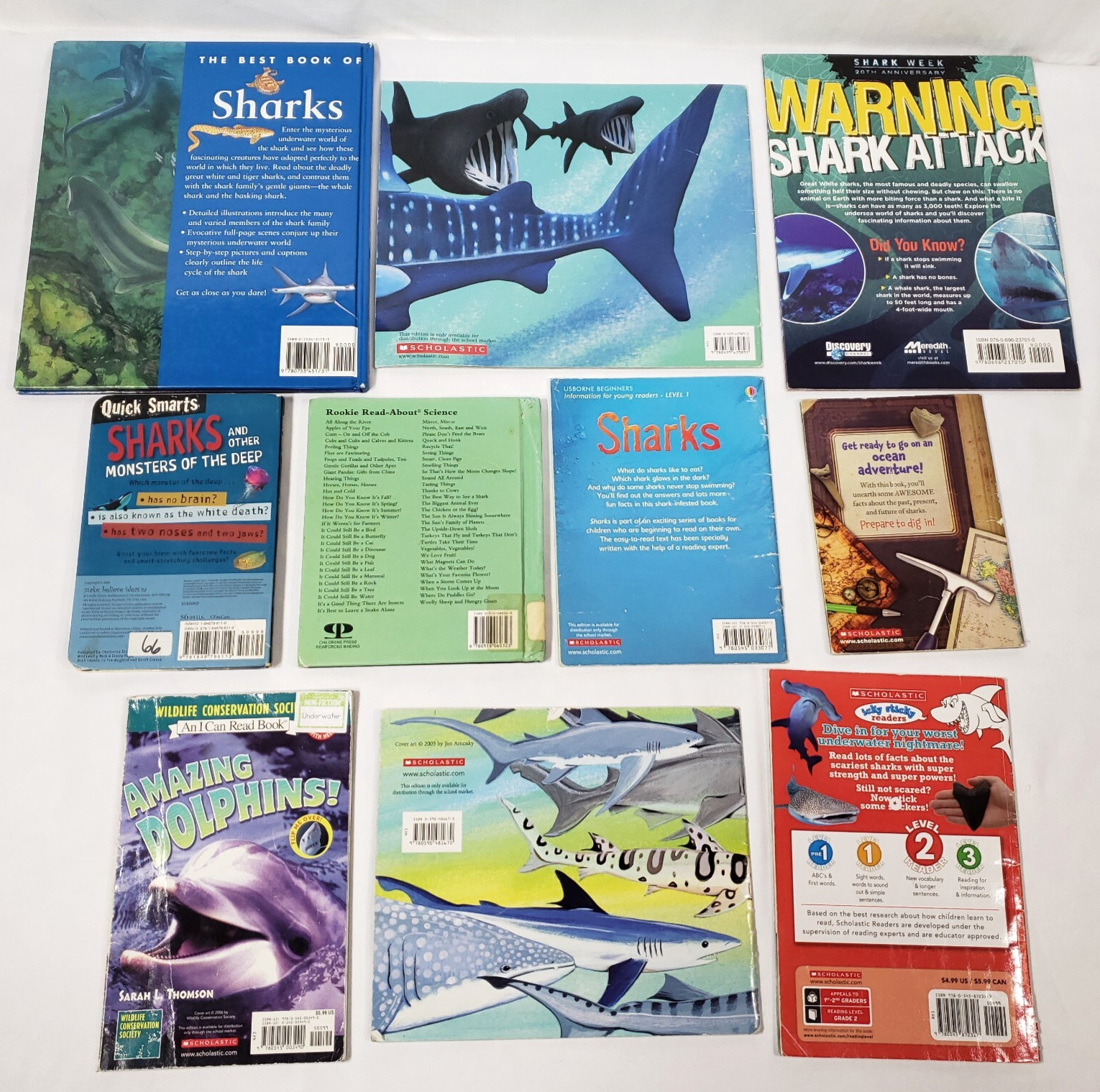 Kids Books About Sharks Lot Of 10 Homeschool Classroom Oceans Fish Nonfiction