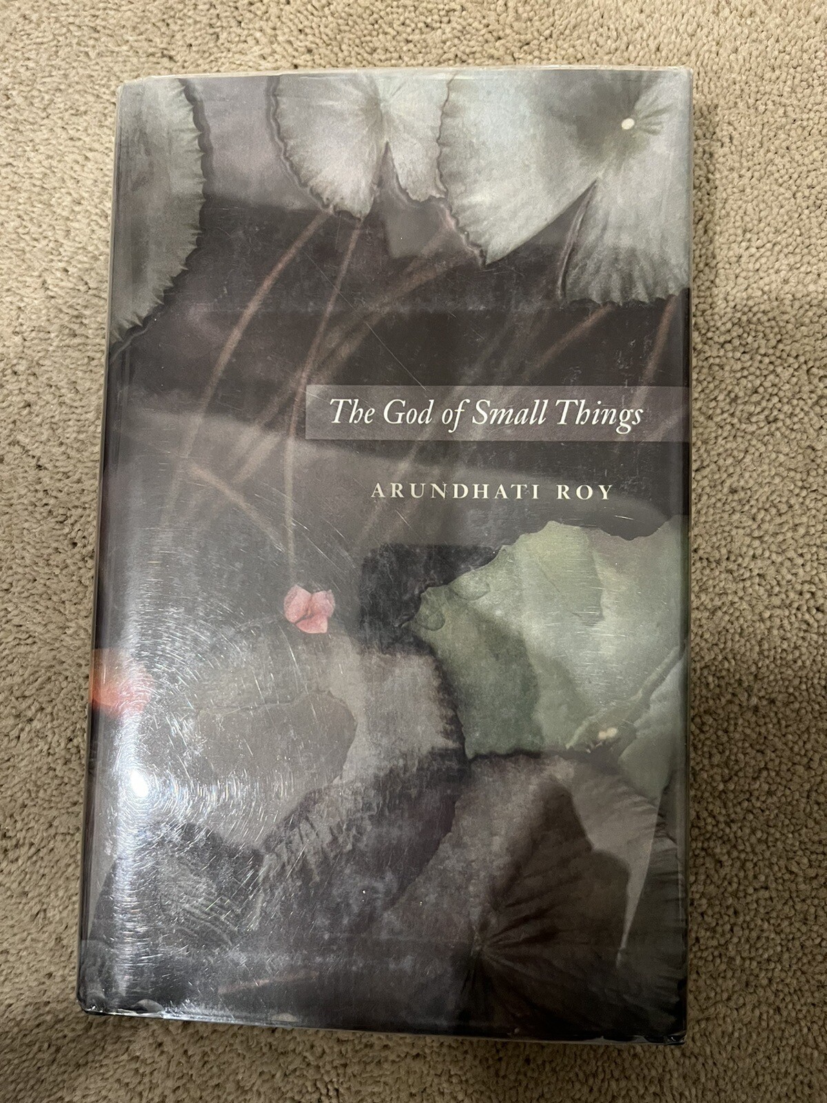 The God Of Small Things, Arundhati Roy. IndiaInk 1997. Fourth Printing.