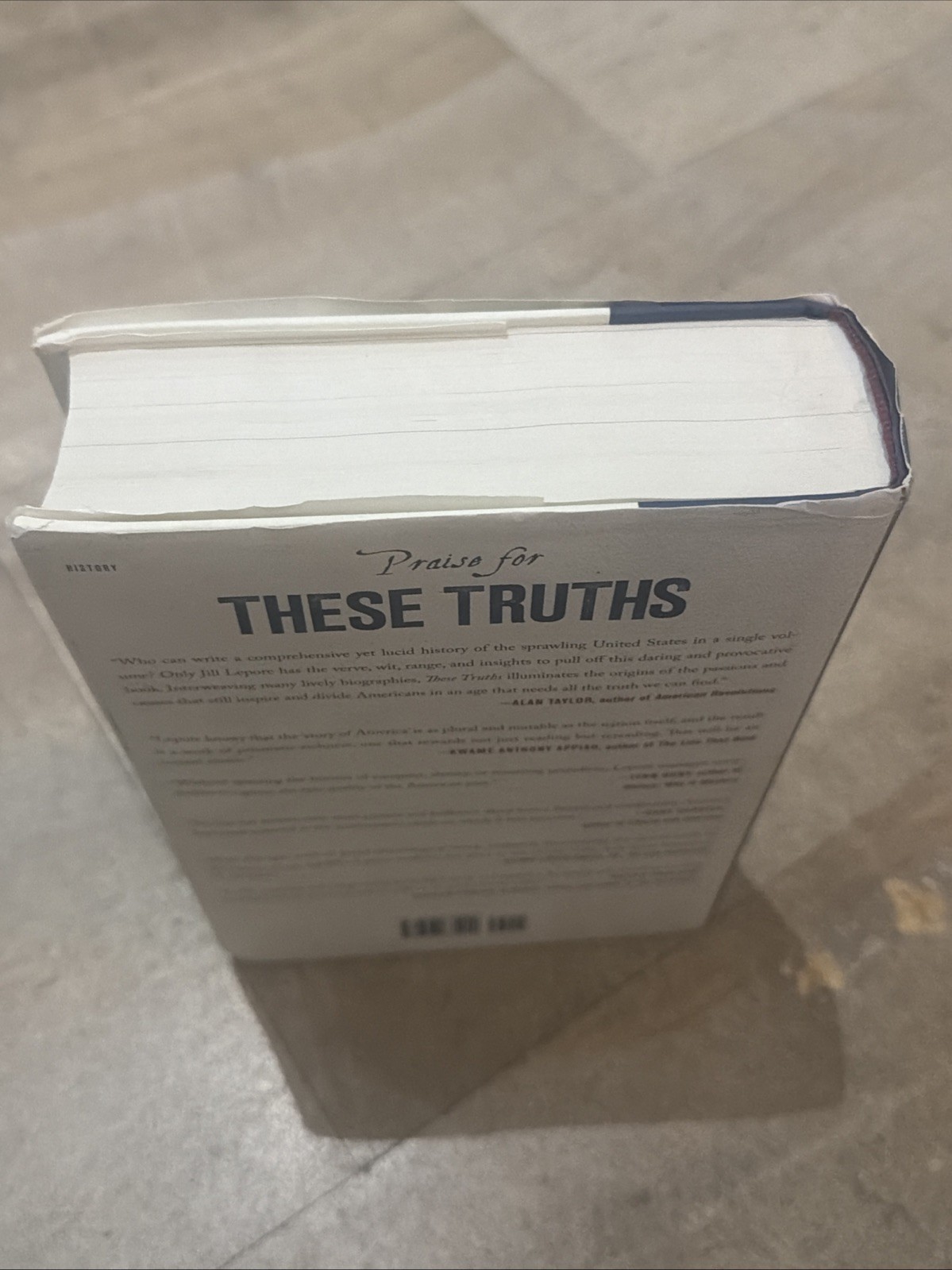 These Truths: A History Of The United States Jill Lepore FIRST EDITION HC