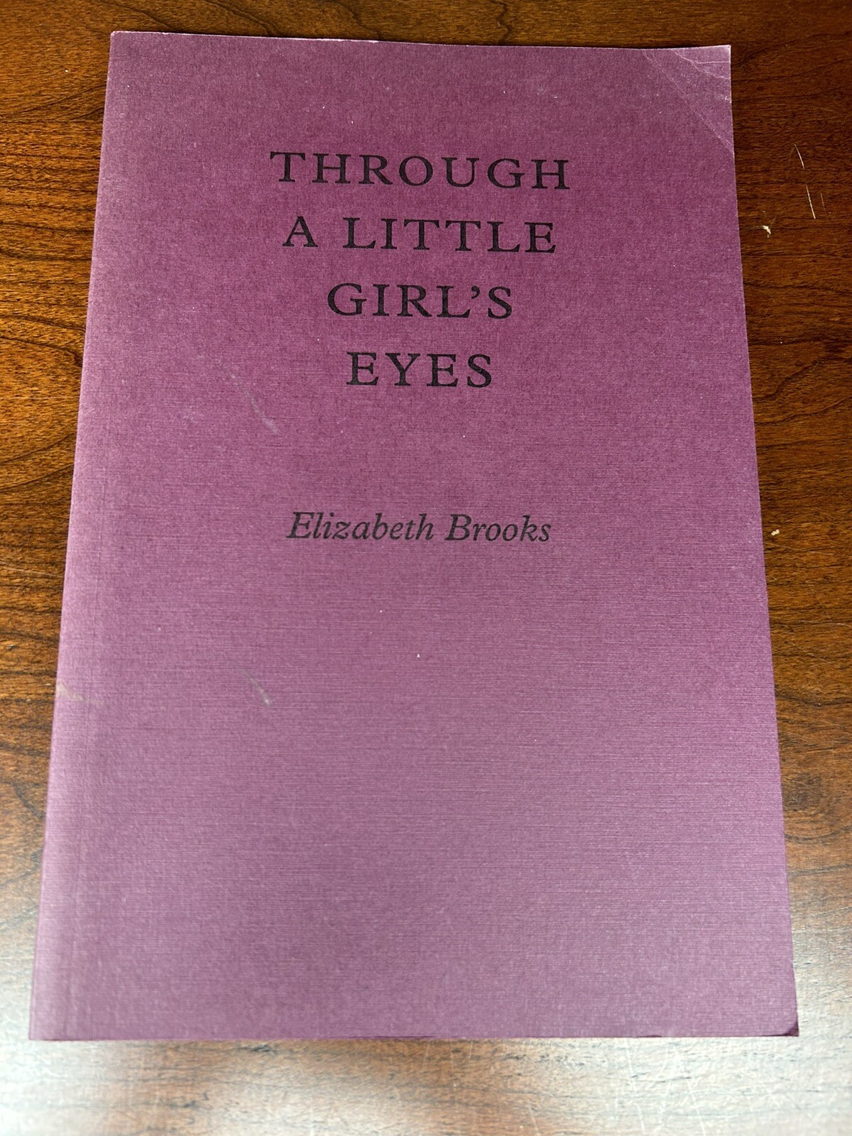 Through A Little Girl’s Eyes Elizabeth Brooks 2002 George W Betterley SIGNED