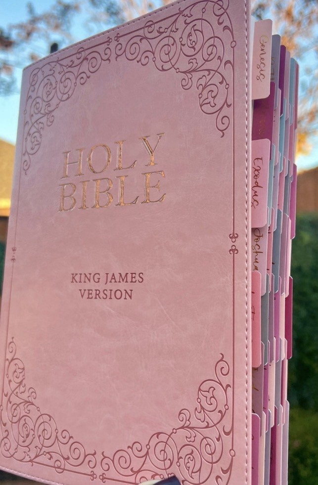 Pink KJV Bible with Ombre Tabs Giant Print Christian Gift Women Mom