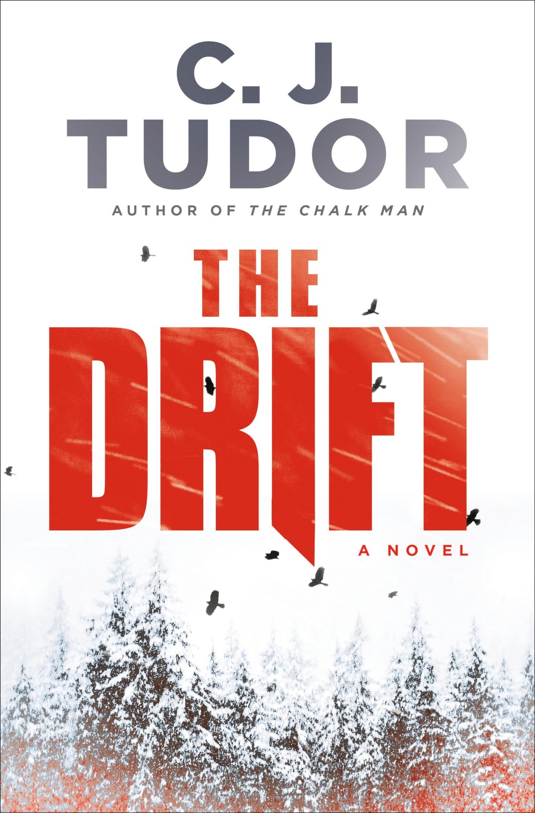 The Drift: A Novel – hardcover Tudor, C. J.