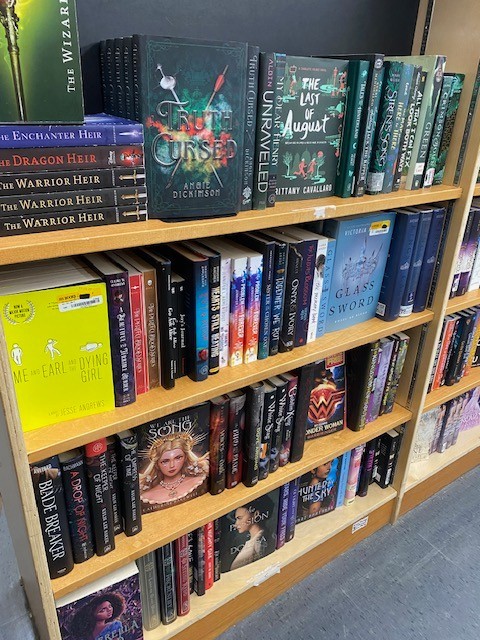 Lot of 10 Young Adult YA Books – Teen Fiction Novels Mixed Genres Bulk Lot