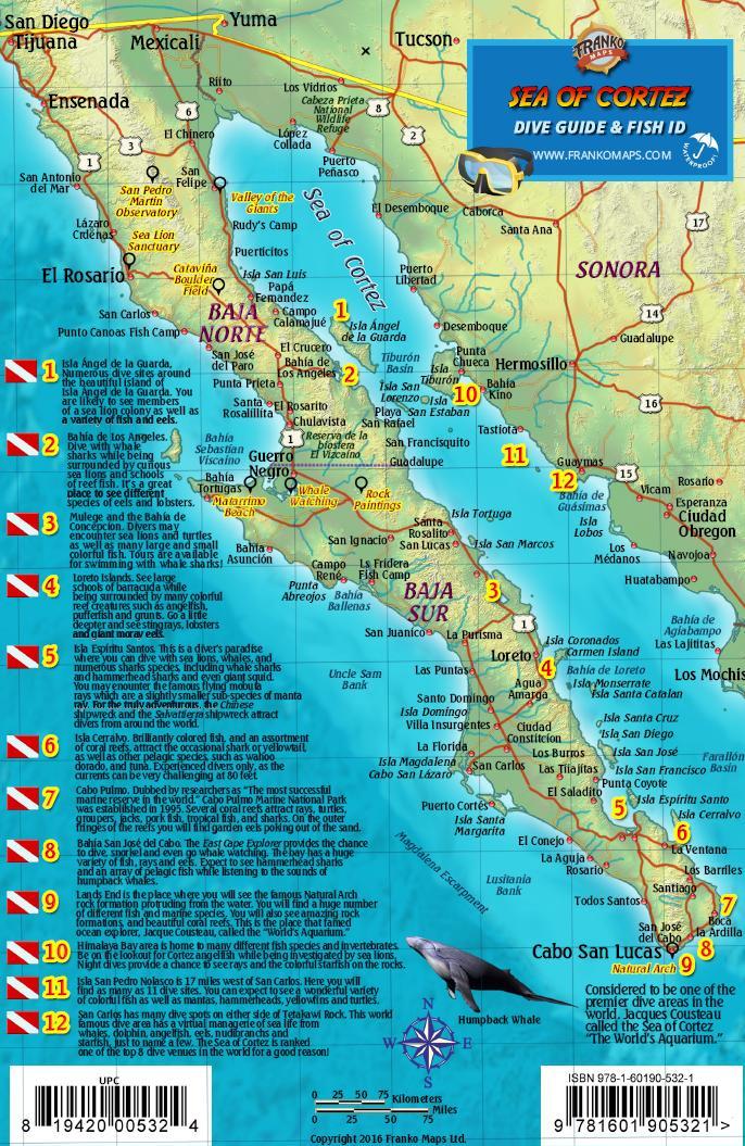 Baja & Sea of Cortez Dive Map & Fish Card Waterproof by Franko Maps