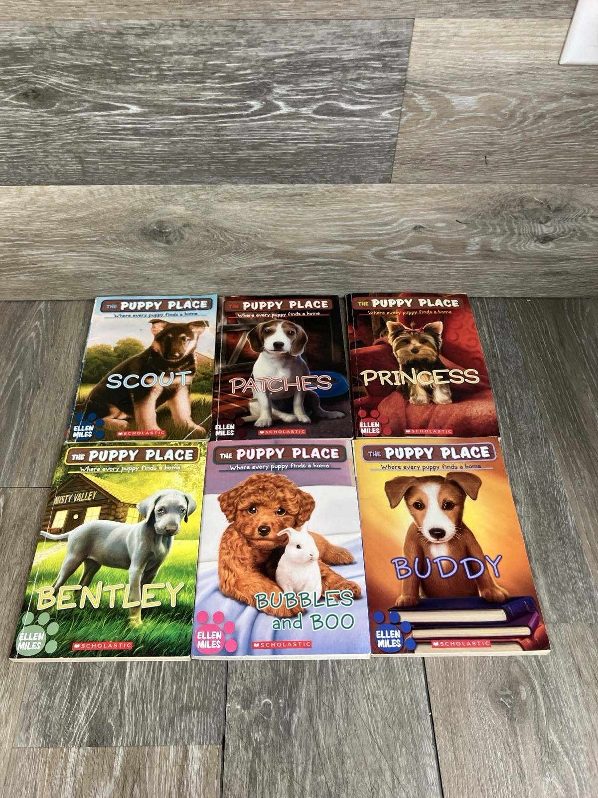 Puppy Place By Ellen Miles Softcover Book Lot Of 6 Buddy & More