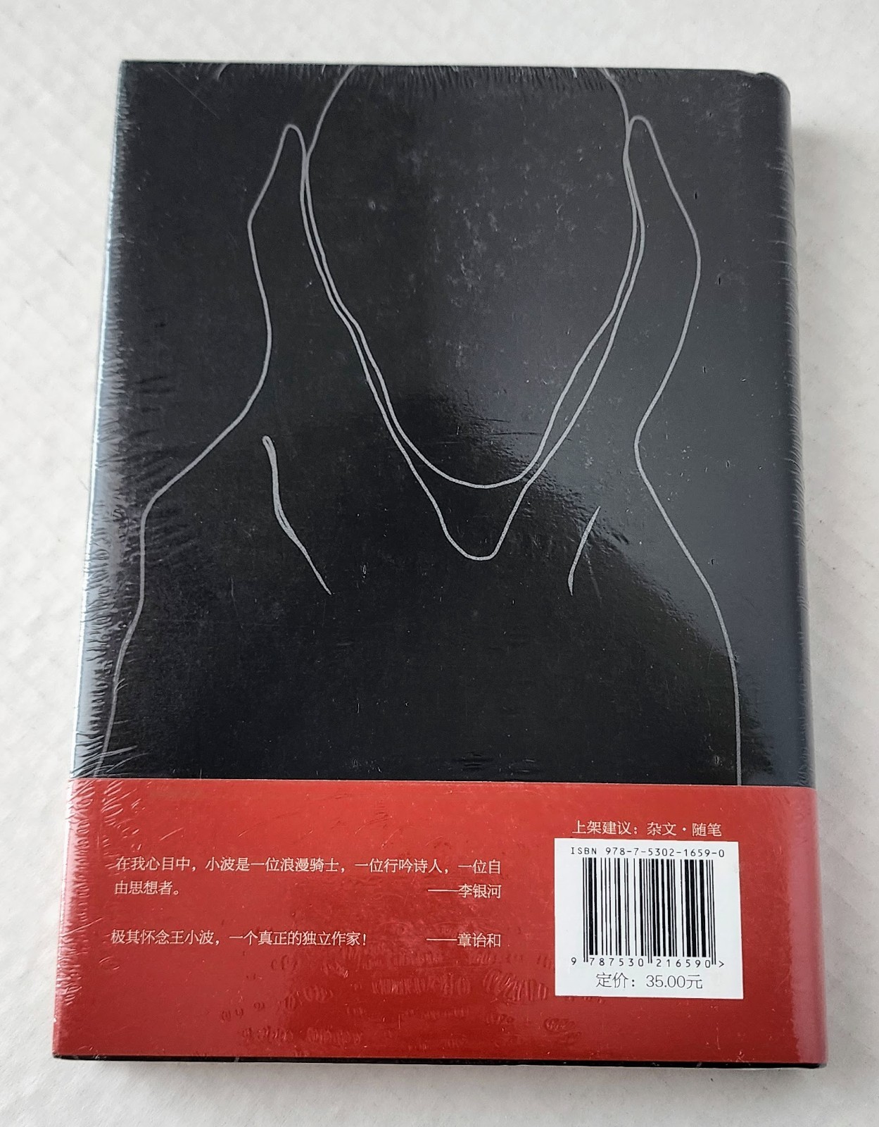 Wang Xiaobo The Silent Majority 沉默的大多数 Chinese Hardcover Sealed ISBN 97875302165
