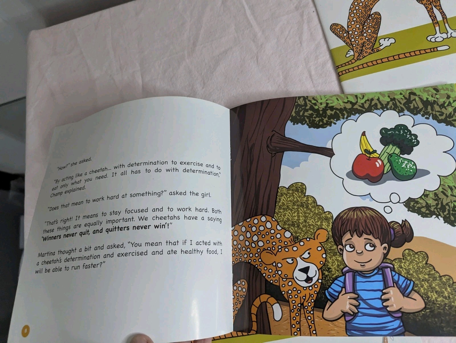 Home School Teachers Cloud 9 world character books DETERMINATION lot 2nd-5th