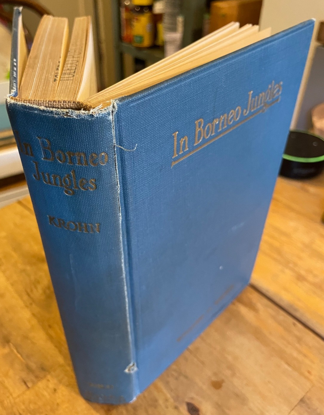 In Borneo Jungles: Among the Dyak Headhunters. By William O. Krohn. 1927