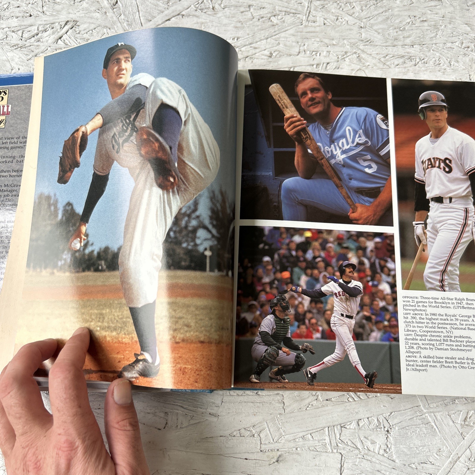 Who’s Who in Baseball History Johnson & Ward Hardcover-DJ-Illustrated-1994 (34)