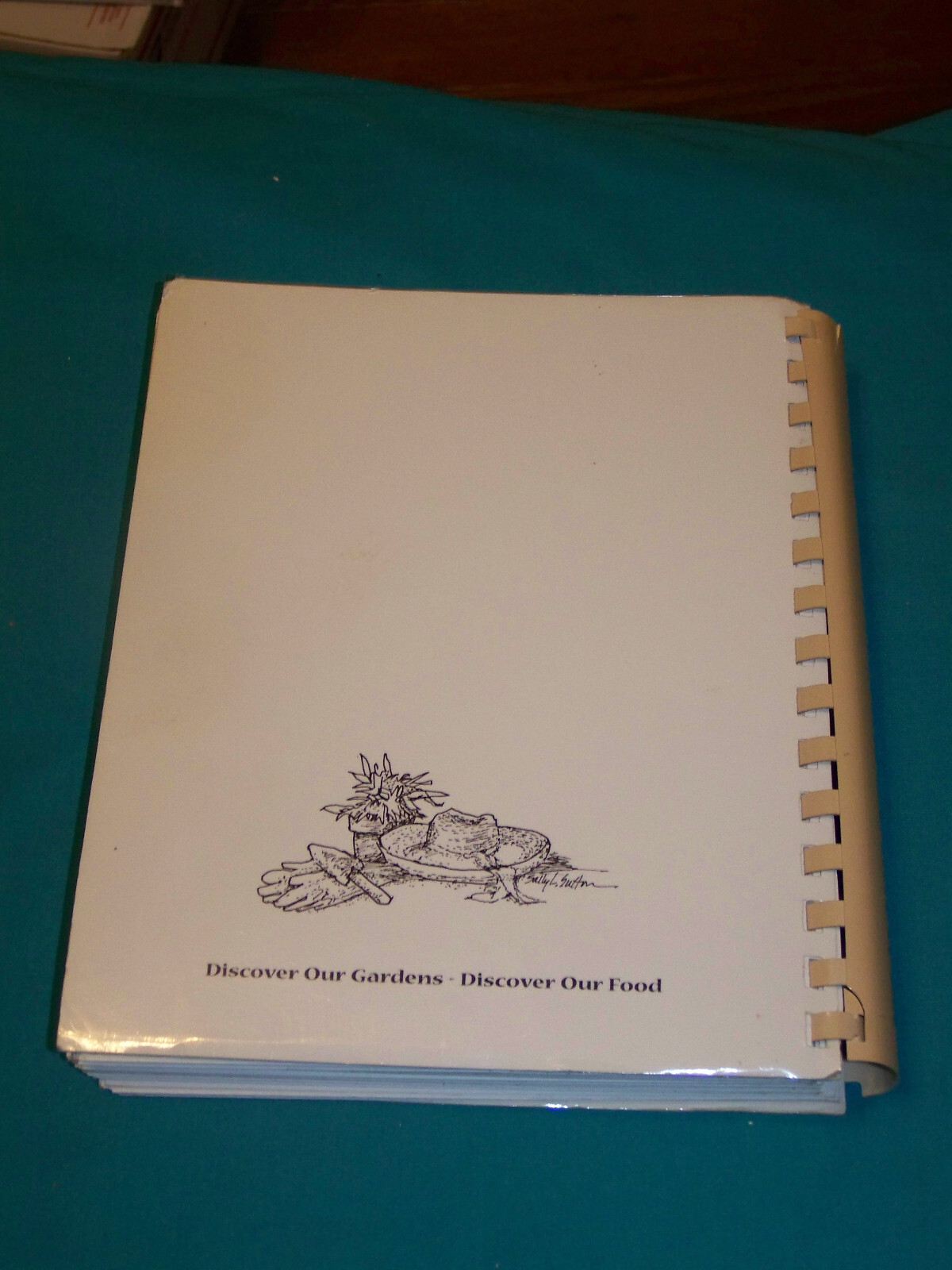 Garden Club of NC Cookbook Illustrated SIGNED by SALLY SUTTON artist 432 pages