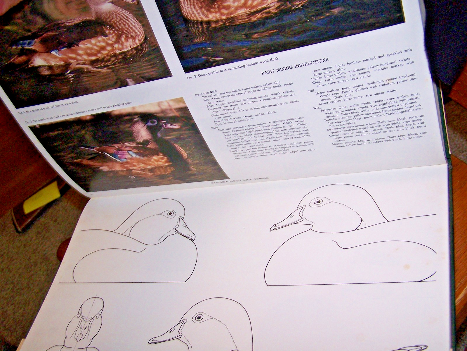 Decorative Decoy Designs : Dabbling and Whistling Ducks by Bruce Burk Vol 1 Hard