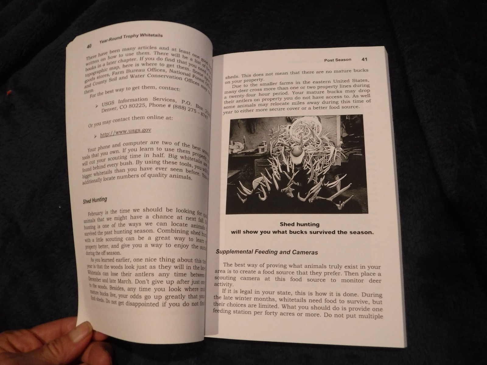 Year-Round Trophy Whitetails The Secrets to Putting All of the Odds by J Brooks