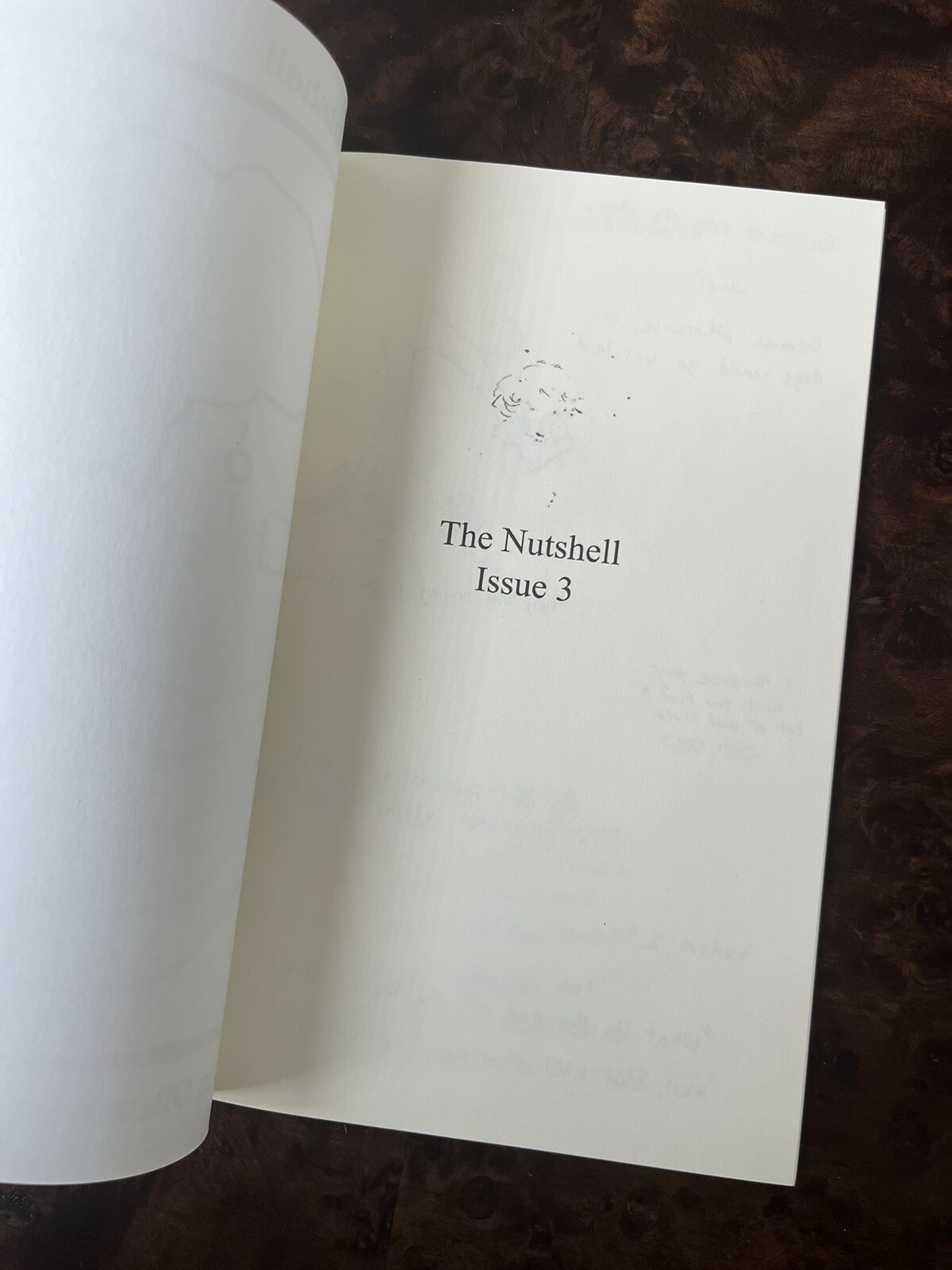 The Nutshell #3, Great Condition! A Zine of Comics Poetry and Doodles, 50 Pages!