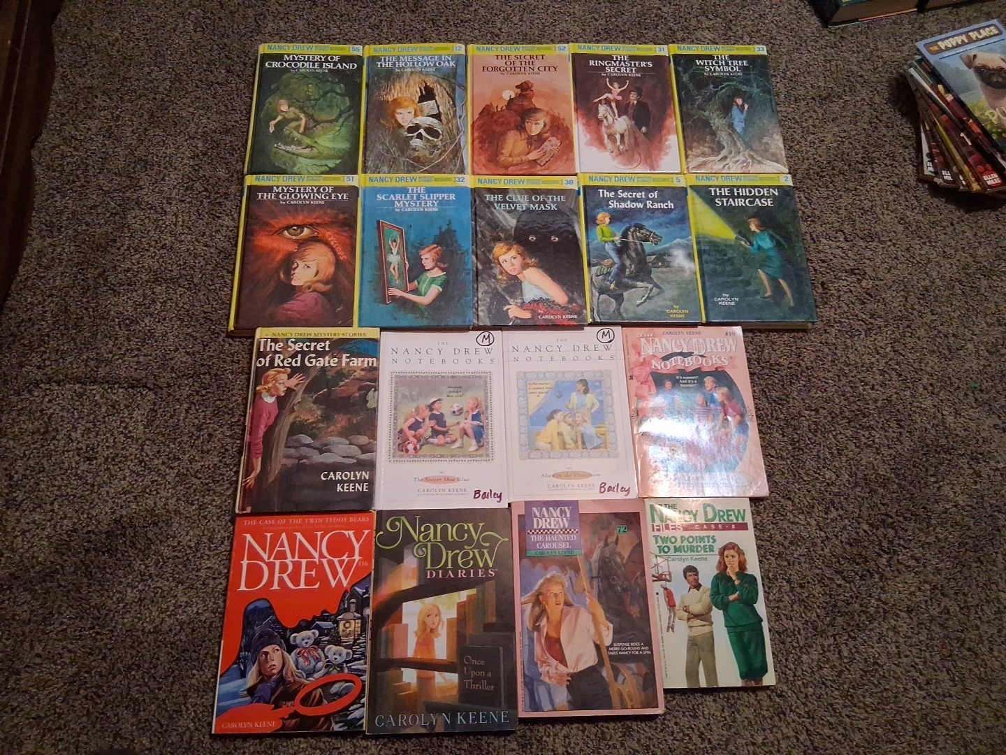 Lot Of 18 Nancy Drew Carolyn Keene Mystery Books Notebooks Casefiles Diaries