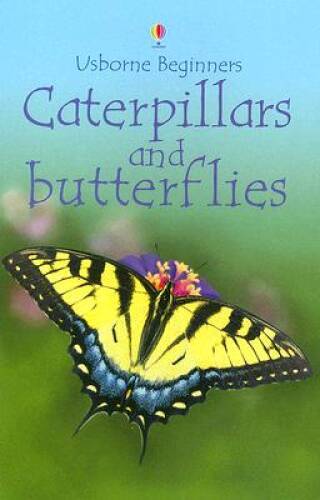 Caterpillars and Butterflies (Usborne Beginners) – Paperback – GOOD