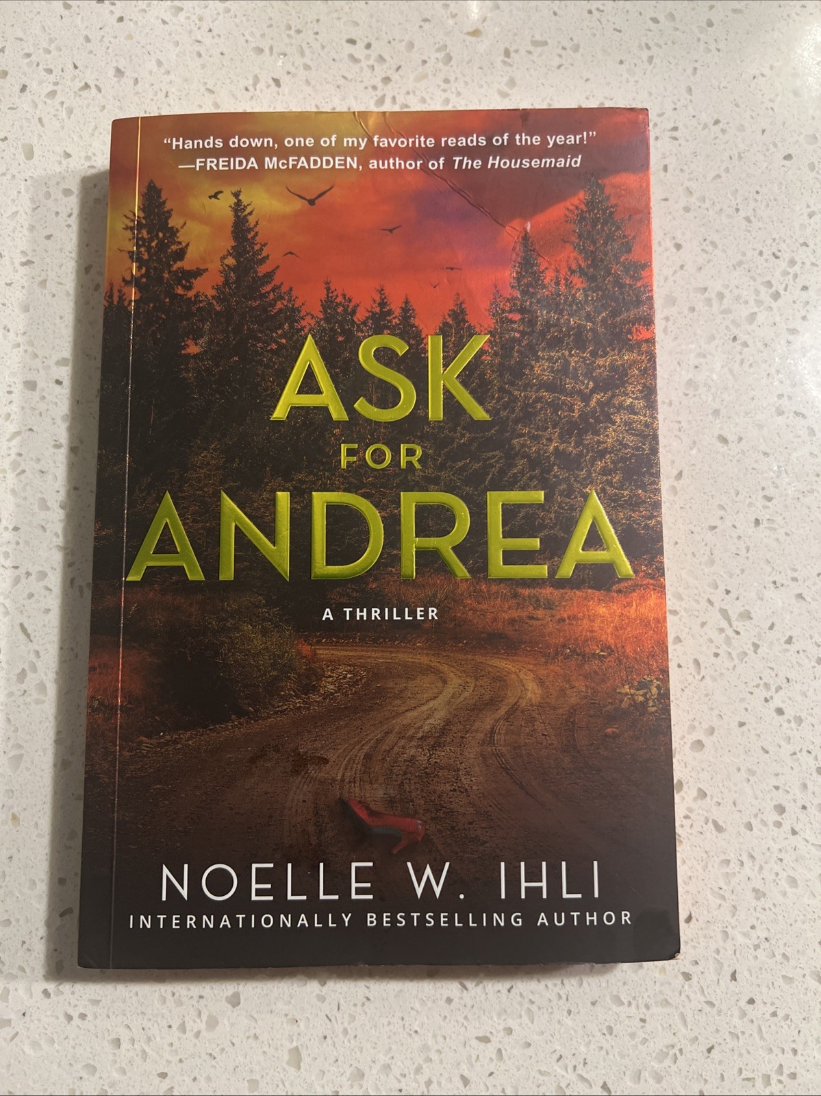 Ask for Andrea by Noelle W. Ihli Paperback Psychological Thriller 2022
