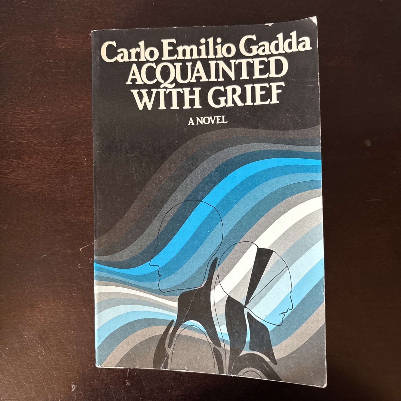 Acquainted With Grief by Carlo Emilio Gadda 1st Paperback Printing Good