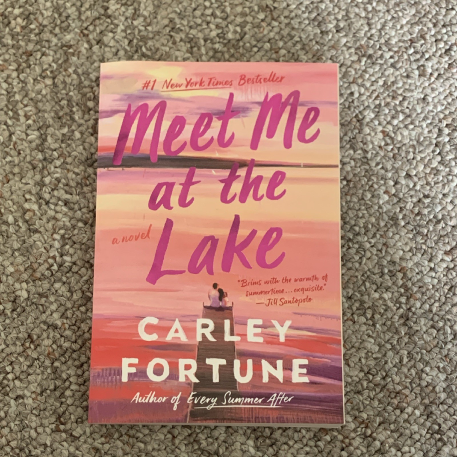 Carley Fortune Meet Me at the Lake Paperback Romance Novel Penguin Readers Guide