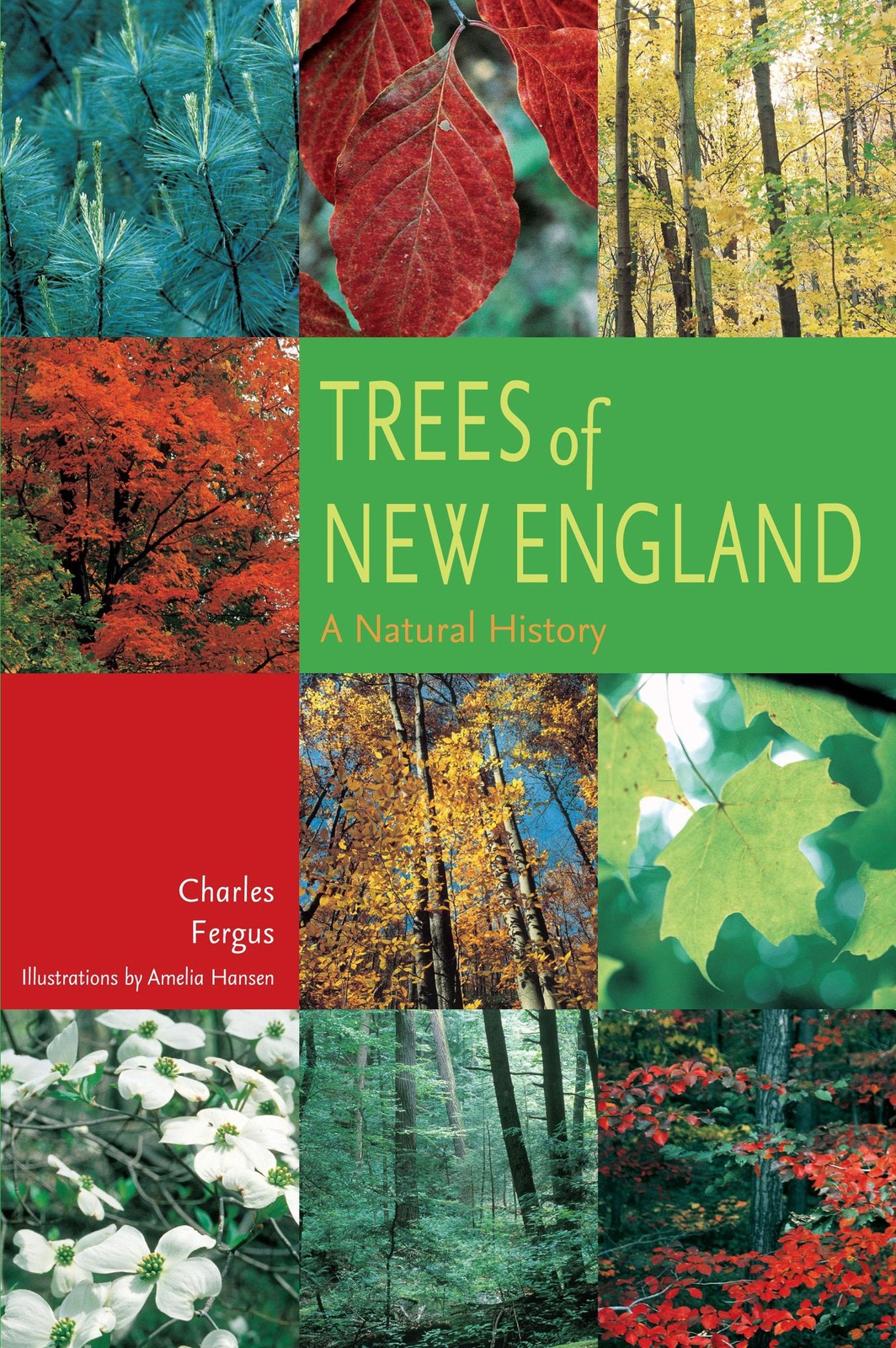 Trees Of New England: A Natural History
