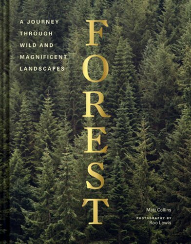 Forest by Collins Matt: New