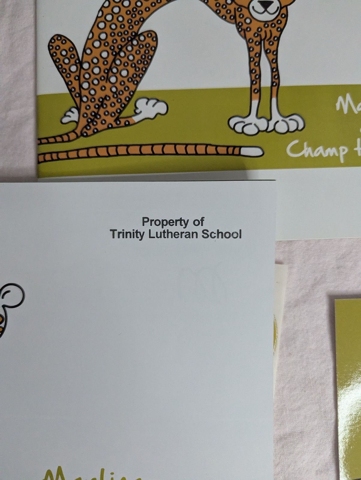 Home School Teachers Cloud 9 world character books DETERMINATION lot 2nd-5th