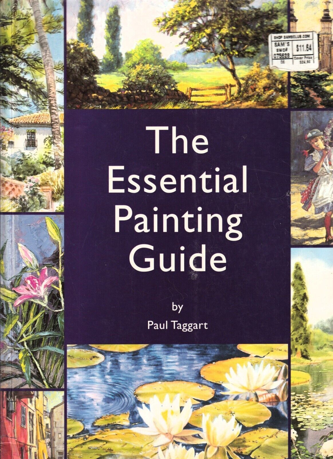 The Essential Painting Guide by Paul Taggart LARGE 2003 SC Book 448 Pages