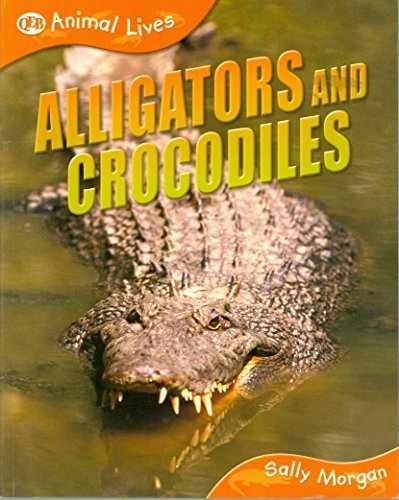 Alligators and Crocodiles (QEB Animal – Paperback, by Morgan Sally – Very Good
