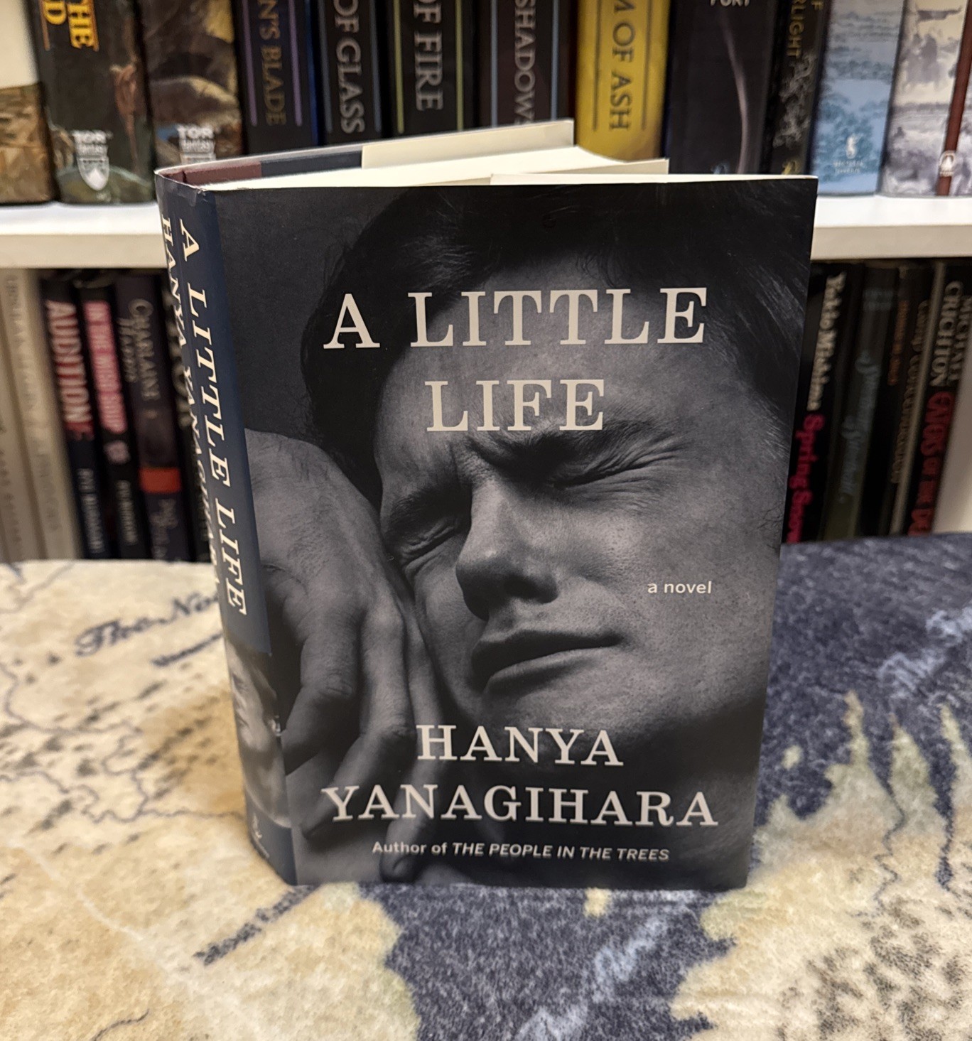 A Little Life by Hanya Yanagihara (Hardcover) First Edition/Print, 1st/1st, VG+