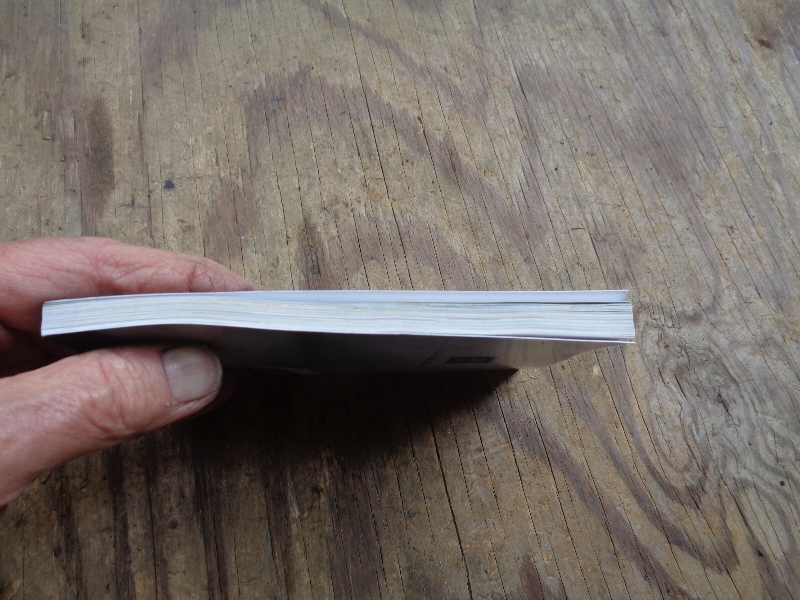 “WHAT DOES THE BIBLE REALLY TEACH?”. 2016. 223 pages. Paperback. Watchtower