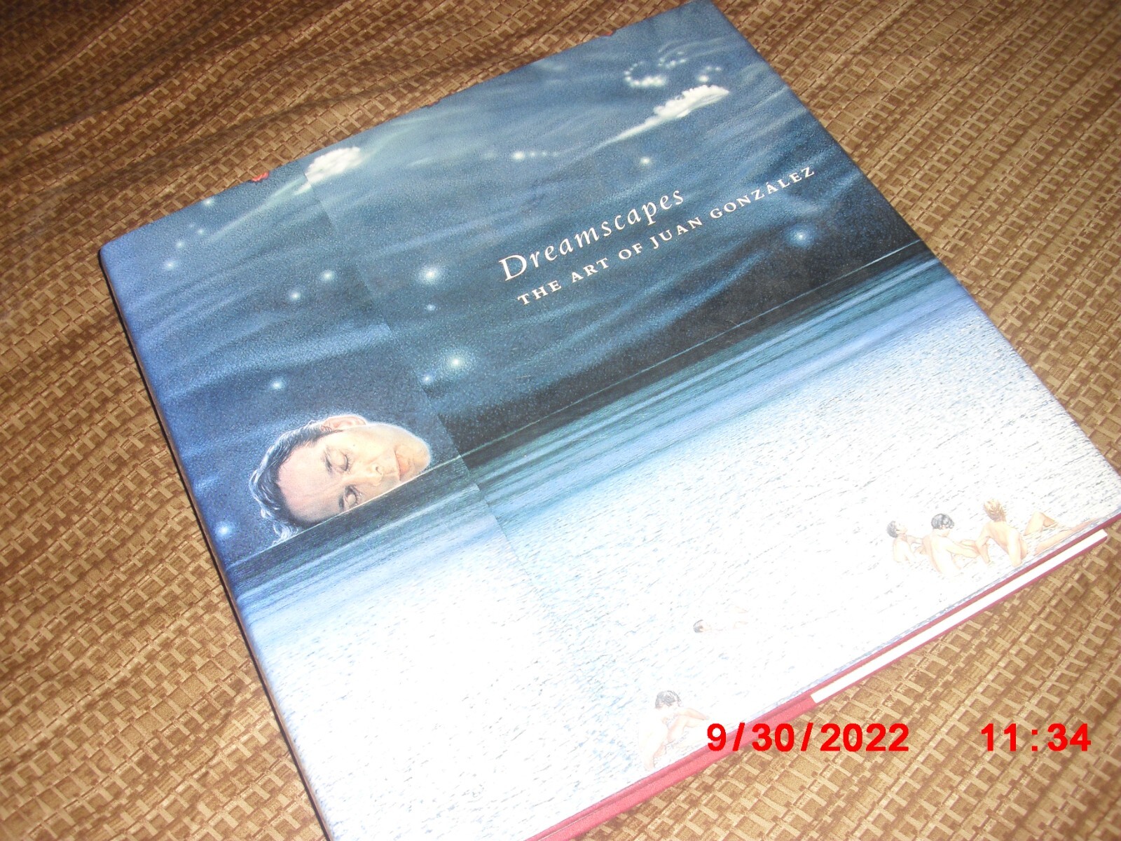 Dreamscapes : The Art of Juan Gonzalez by Irene McManus (1994, Hardcover) WOW!!