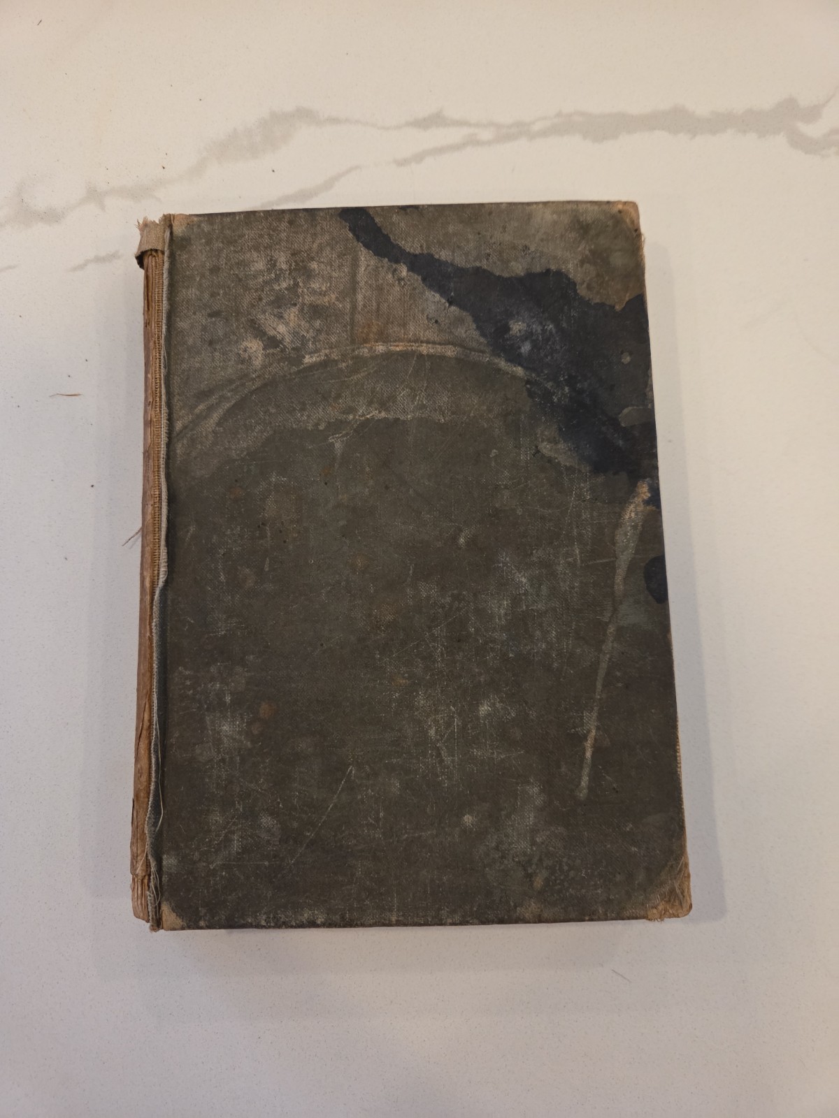 Very Unique 1884 Unnamed Book On The Human Anatomy