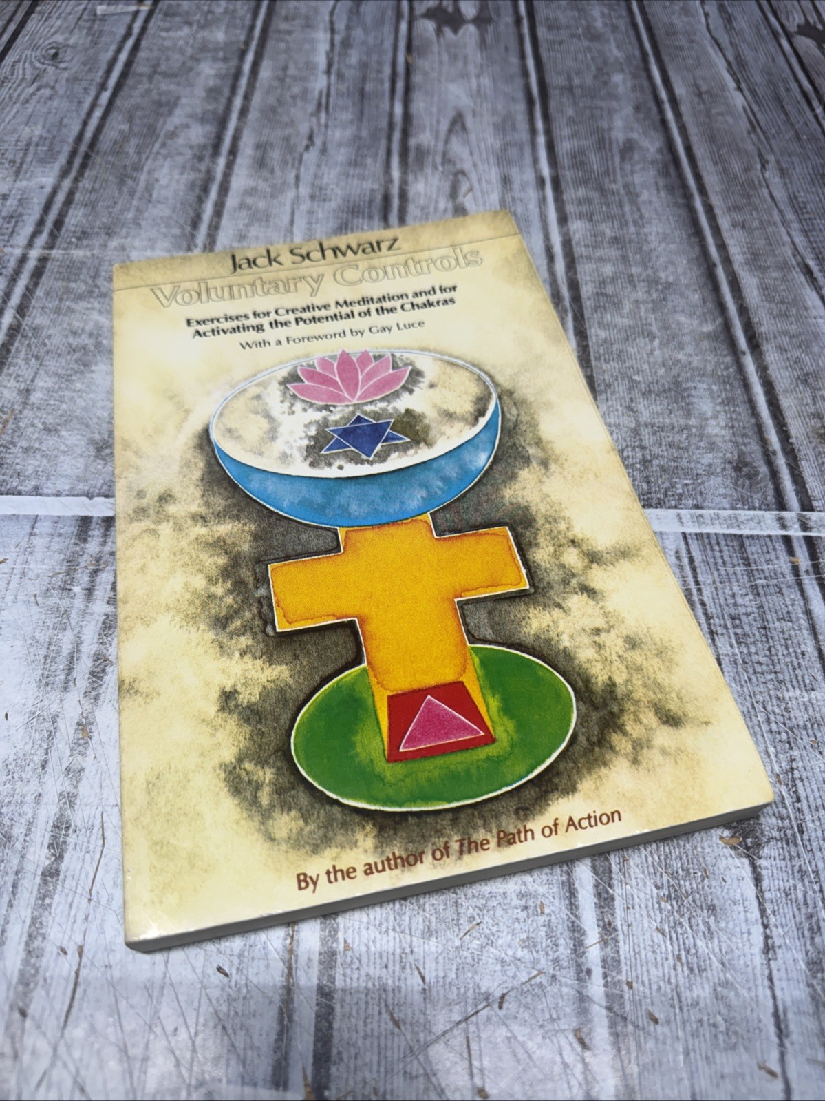 Voluntary Controls: Jack Schwarz, Paperback Meditation Chakras Exercises