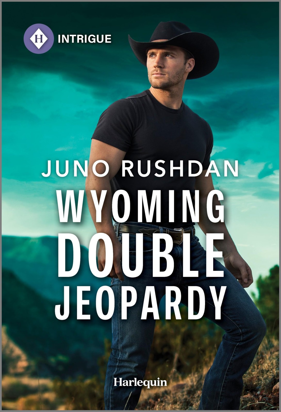 Wyoming Double Jeopardy: A Western Protector Lawman Suspense Romance (Cowboy…