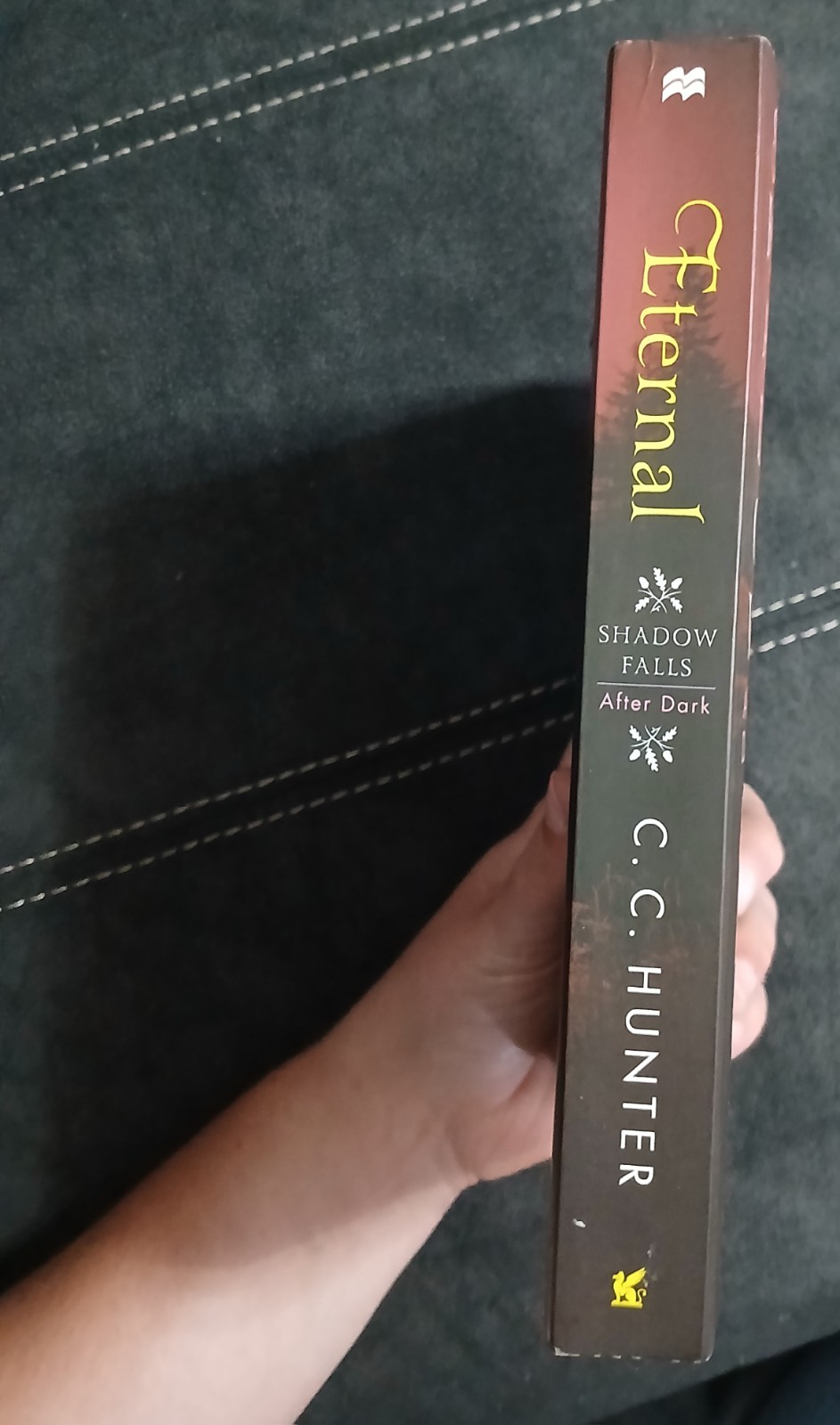 Eternal By C.C. Hunter