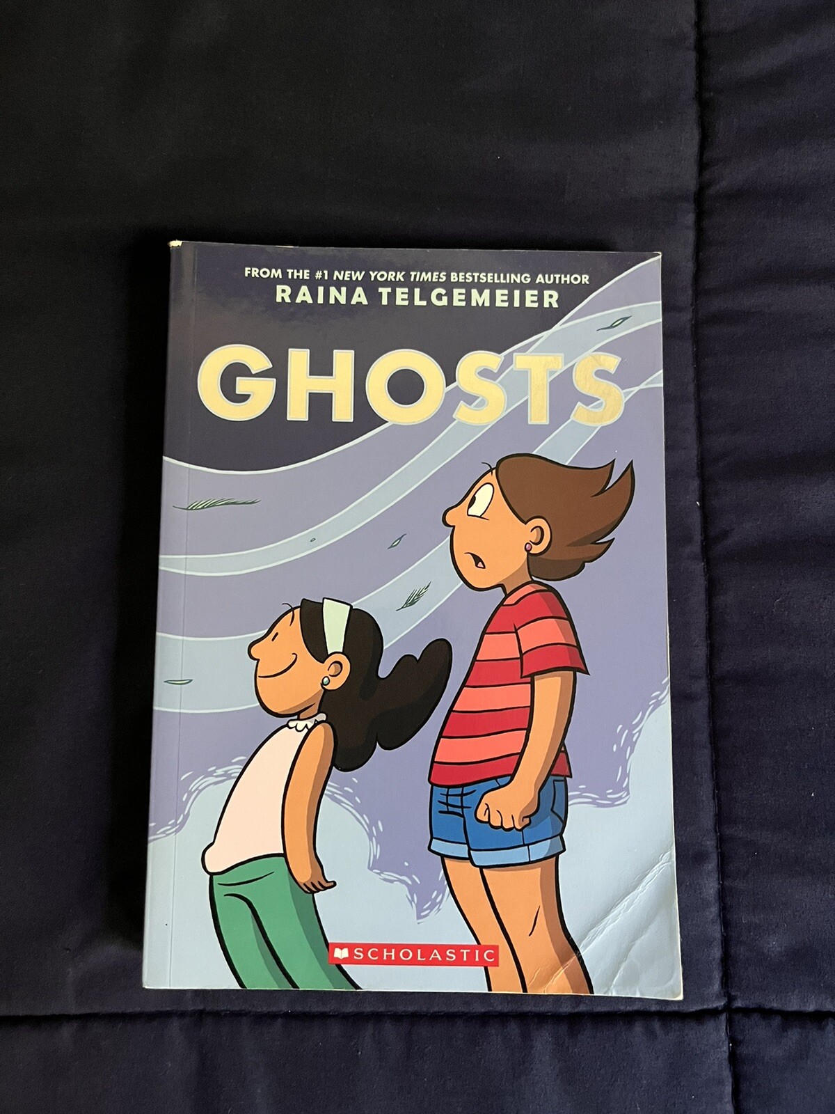 Graphic Novel Paperback Very Good Condition 265 pages reading level 8-11 y/o