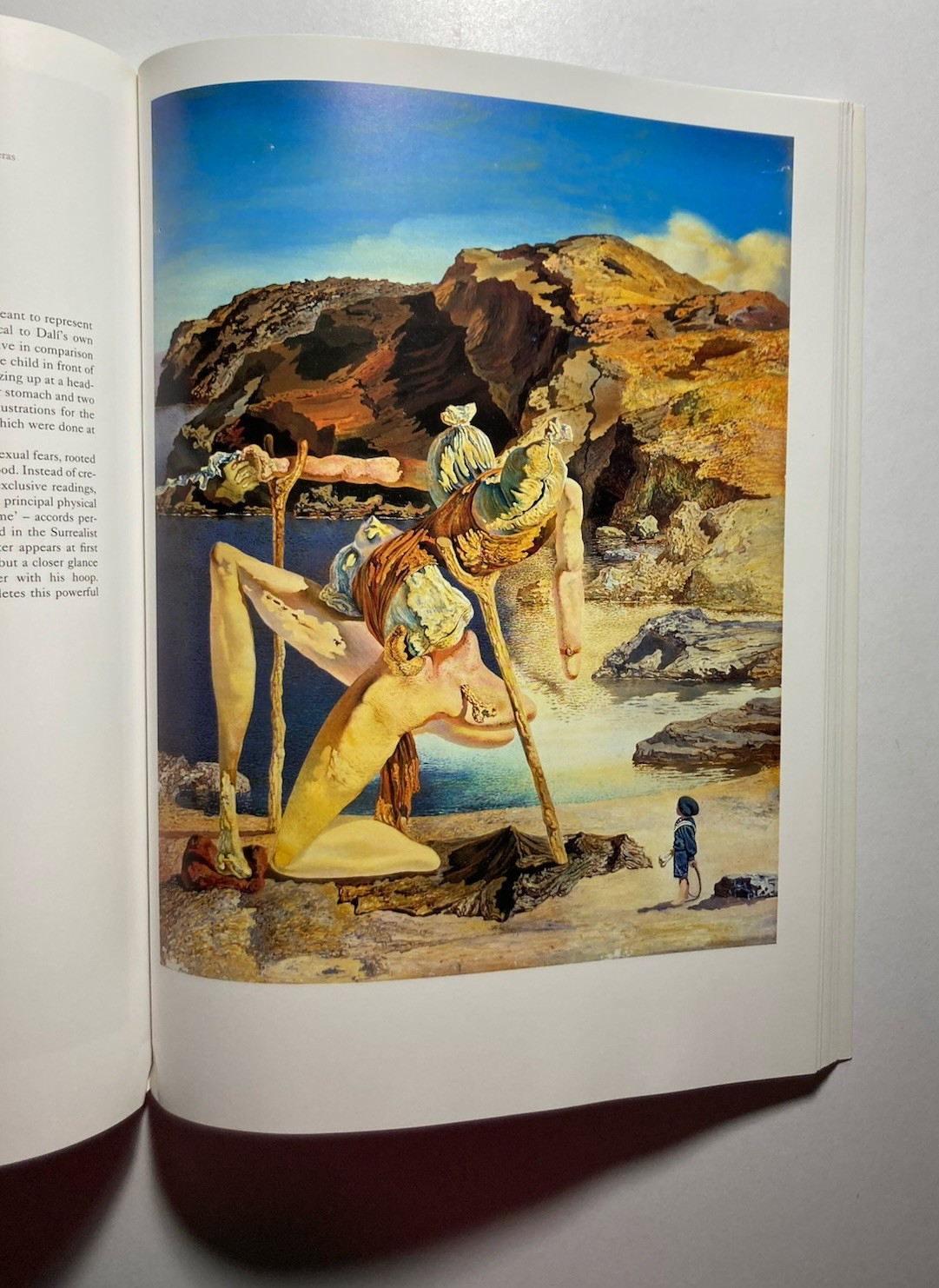 “DALI” by Christopher Masters 1995 Borders Press PAPERBACK Salvador Dali ART