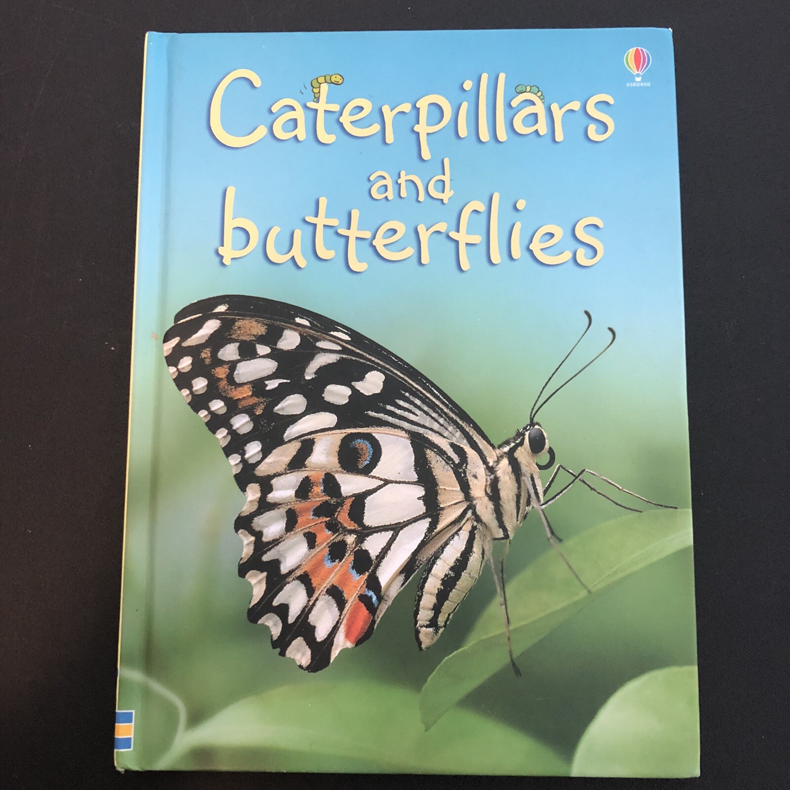 Usborne Beginners; Caterpillars And Butterflies By Stephanie Turnbull