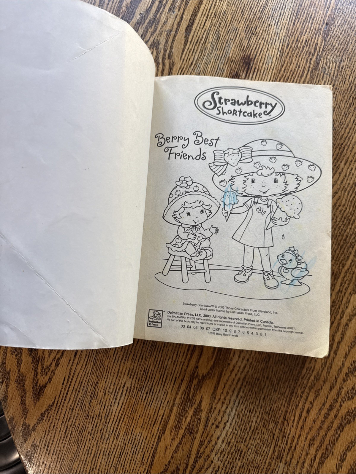Strawberry Shortcake: : 400 Pages of Coloring Fun! (Strawberry Shortcake) BB